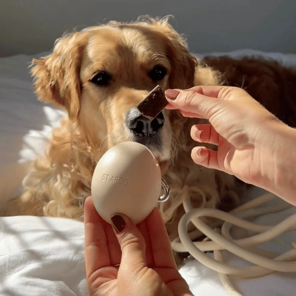 Treat Pouch cream