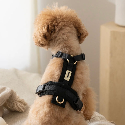 Soft Ribbed Velour Y-Design Dog Harness Black