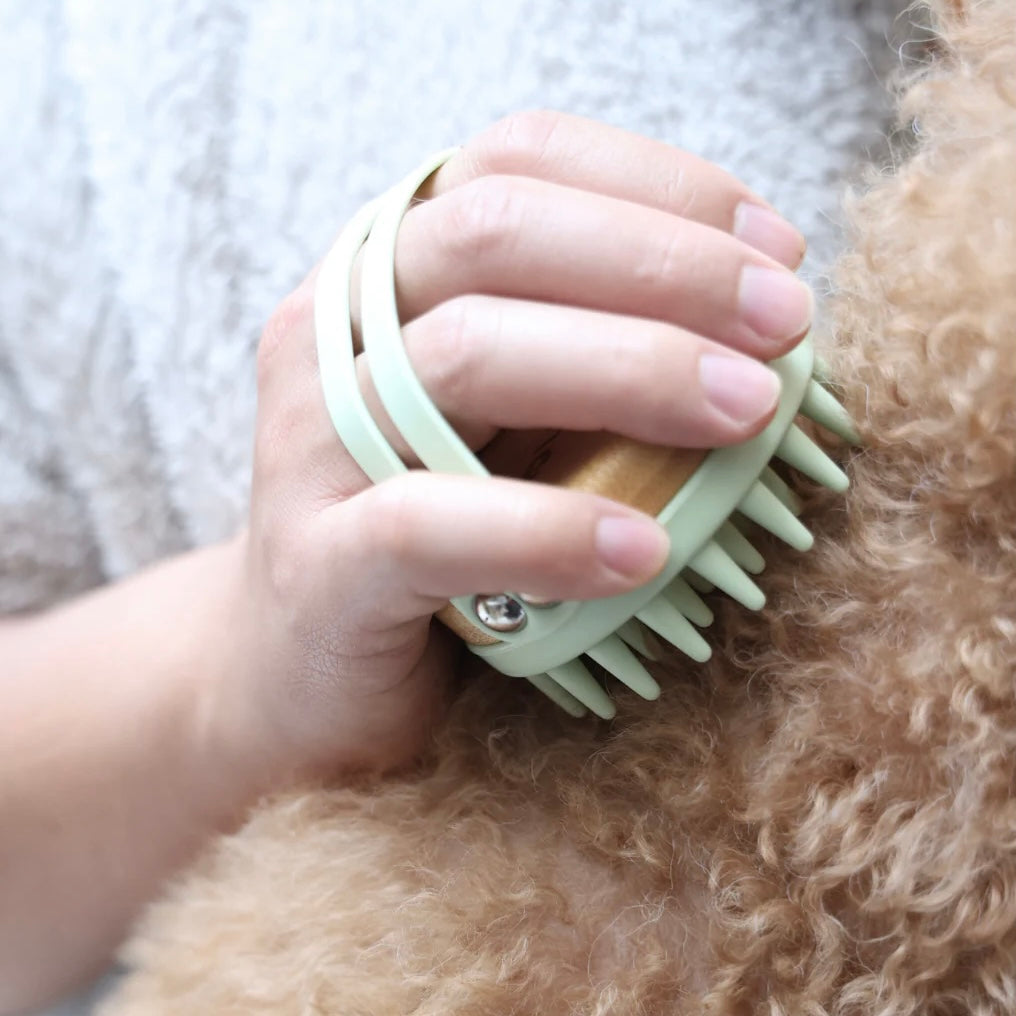 Bamboo brush for dog & cat