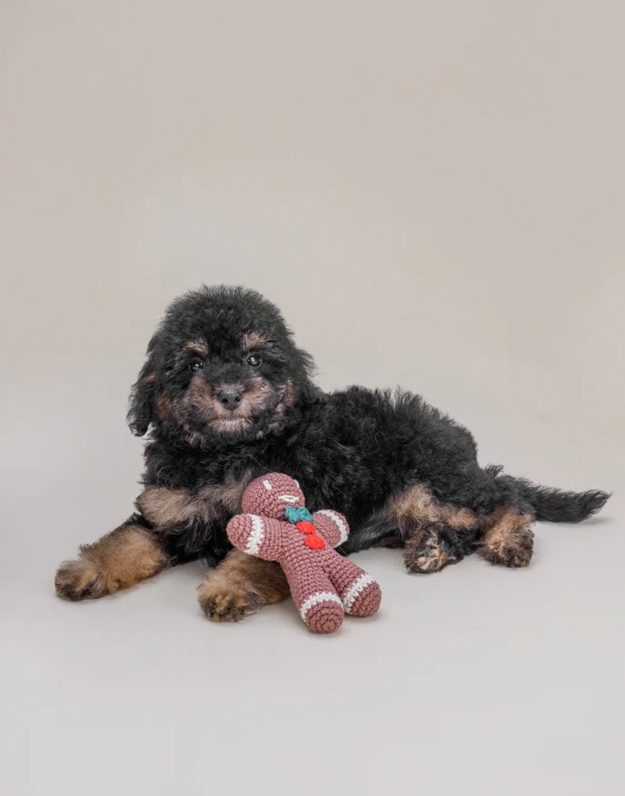 Crochet toy GINGERBREAD MAN