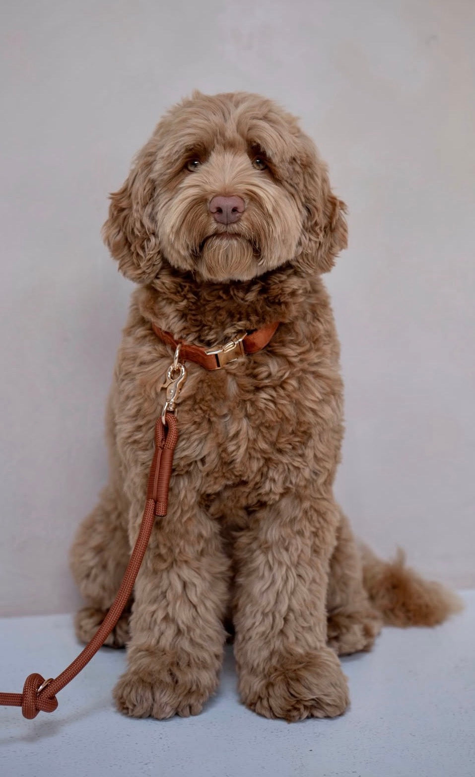 Hands Free Braided Leash clay
