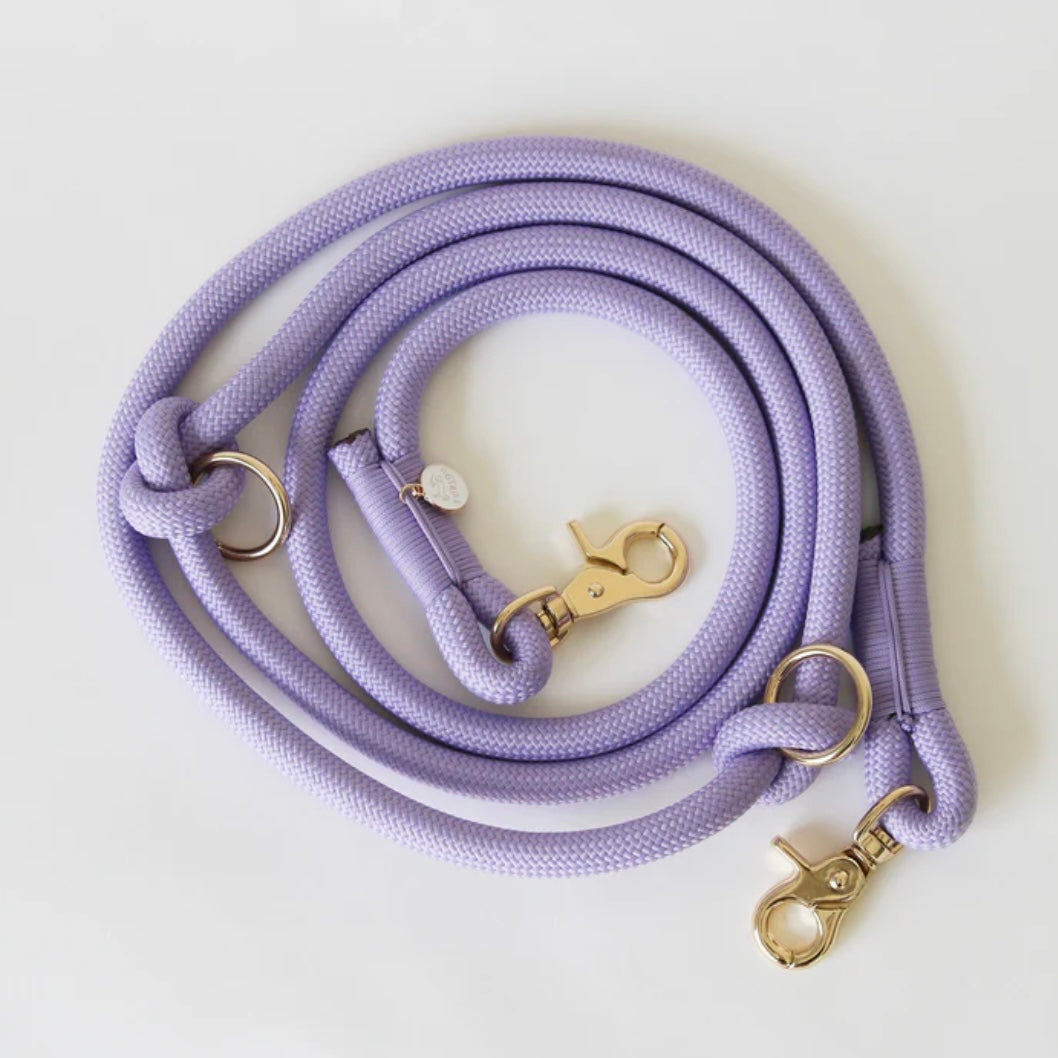 Hands Free Braided Leash Lavender