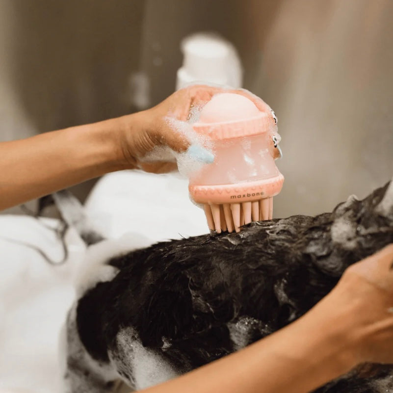 Deep Cleanse Shampoo Dispensing Brush
