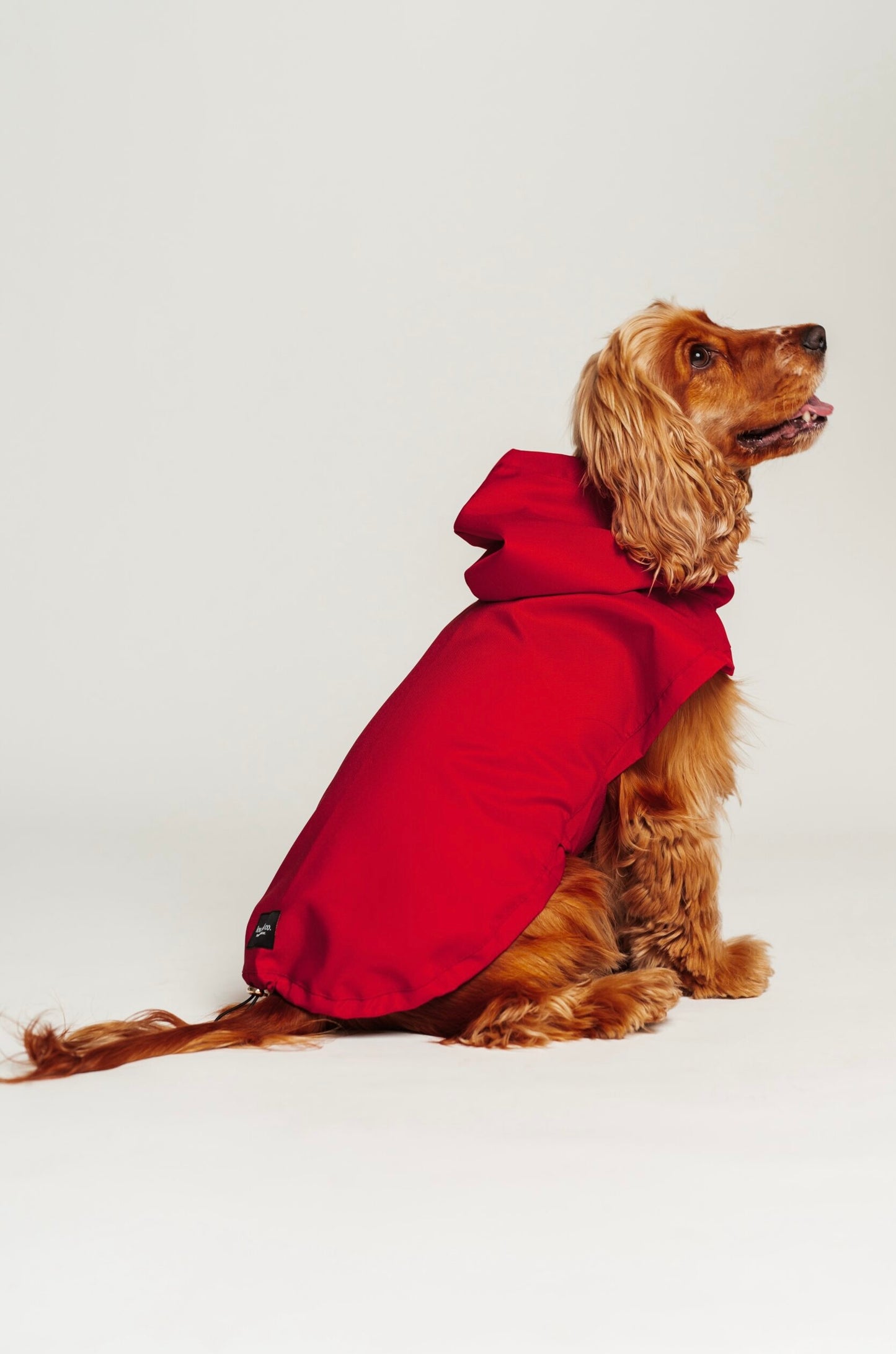 Dog raincoat red