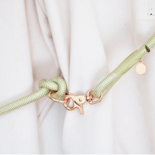 Hands Free Braided Leash Lime green
