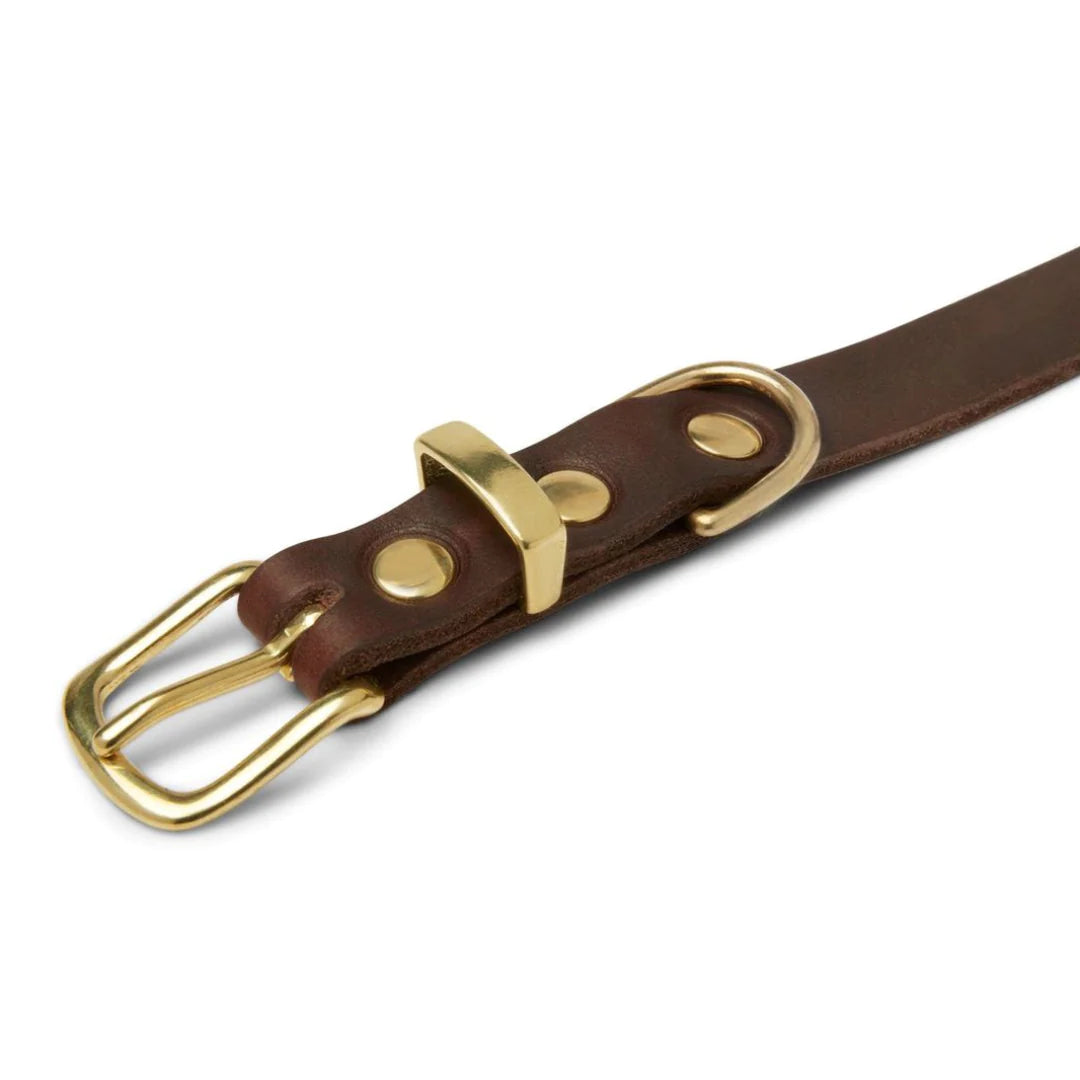 Butter leather dog collar Classic Brown