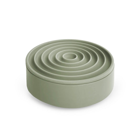 3-IN-1 Bento Bowl Fern