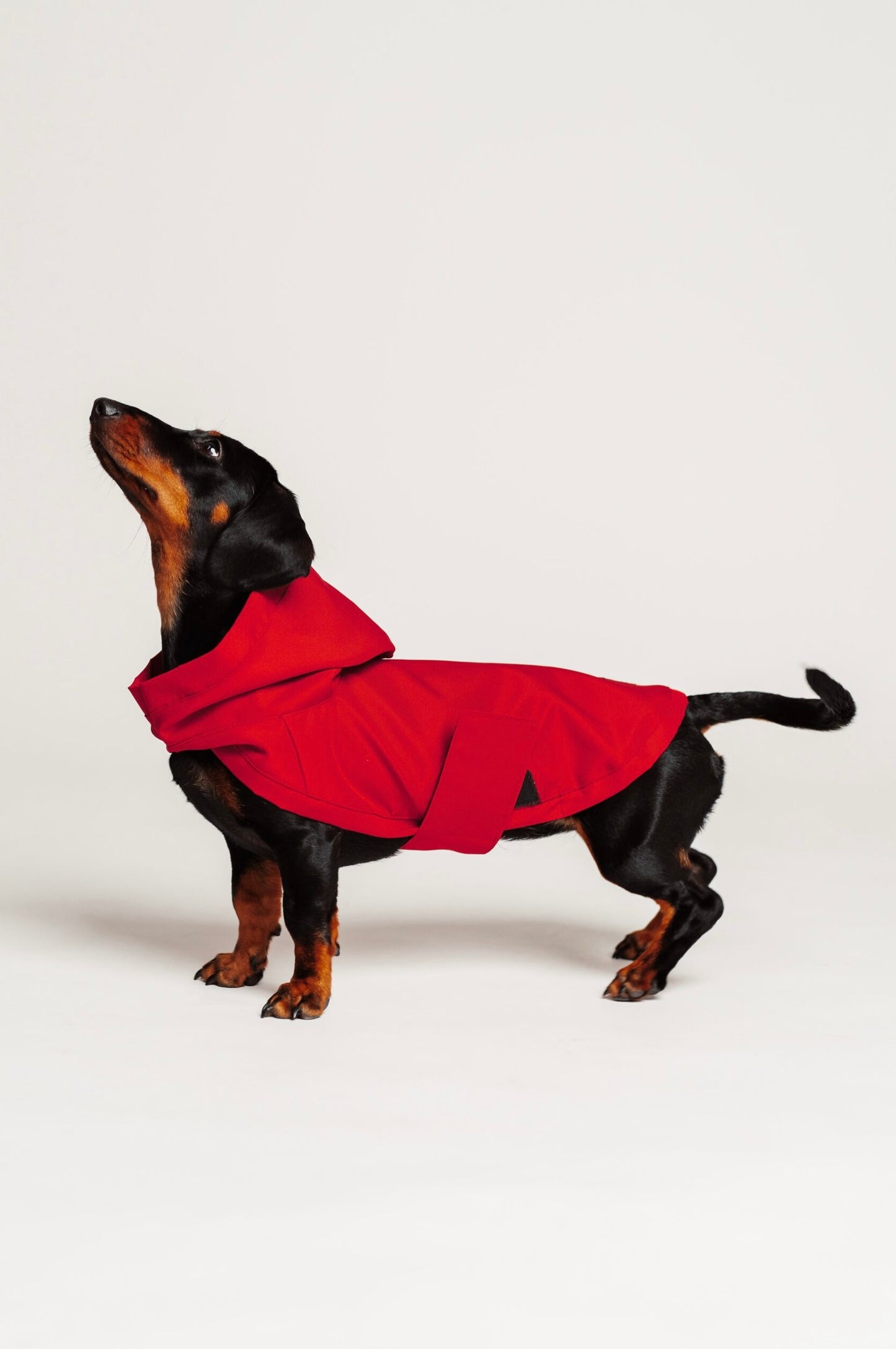 Dog raincoat red