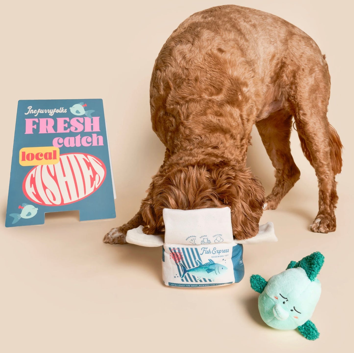 Fish Express Nosework Toy