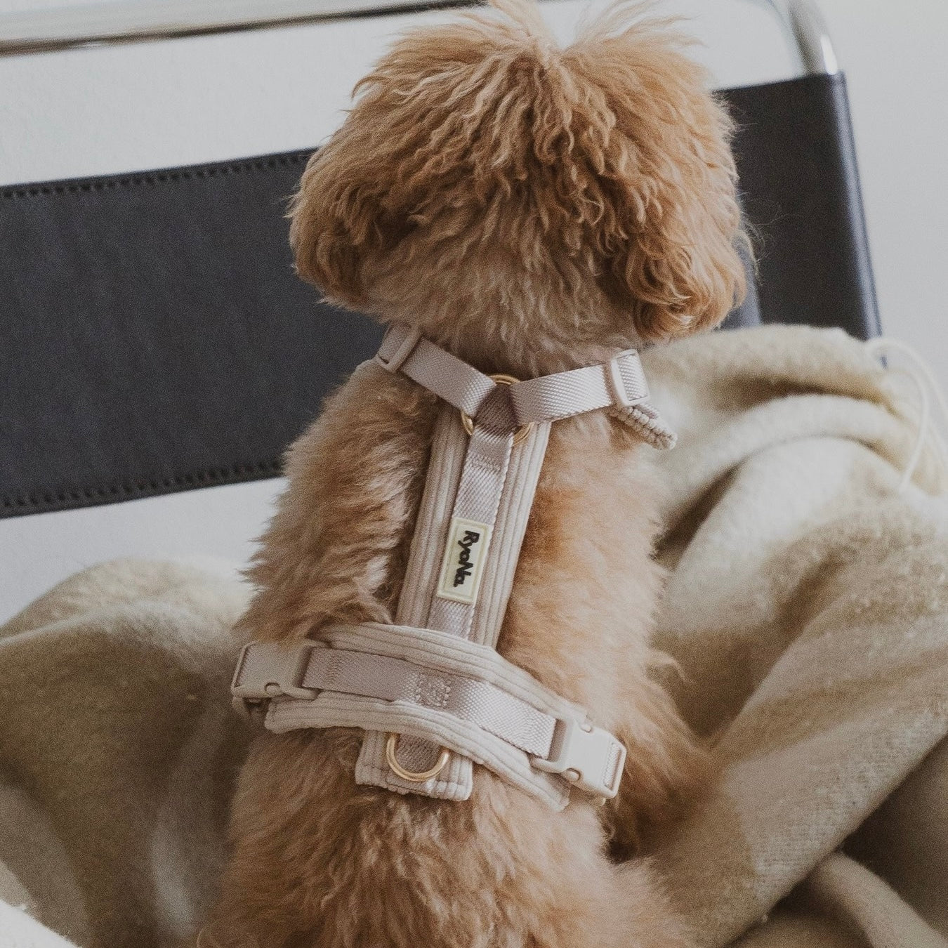 Soft Ribbed Velour Y-Design Dog Harness Beige