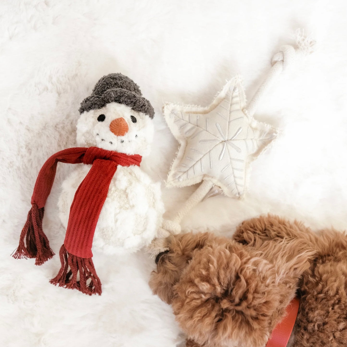 Snowman Dog toy