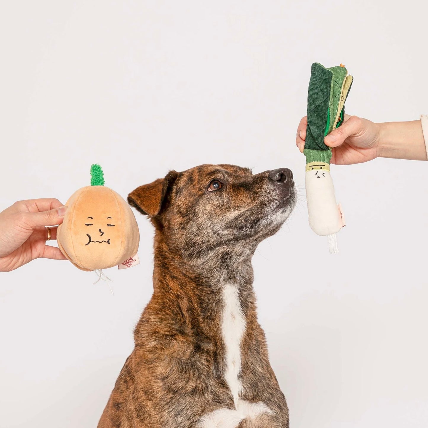 Yellow Onion Nosework Toy