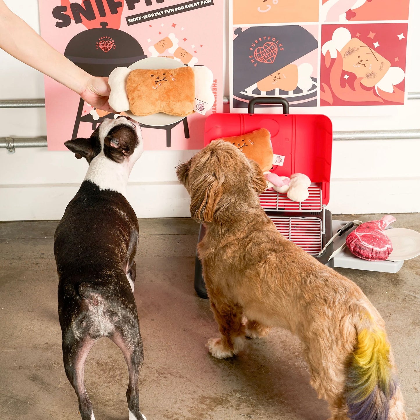 Bone Appétit Nosework Toy