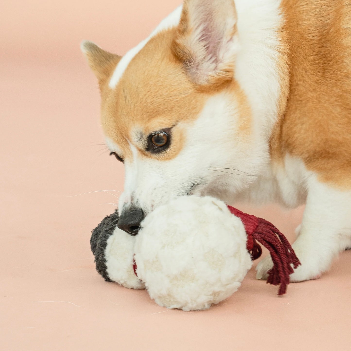 Snowman Dog toy