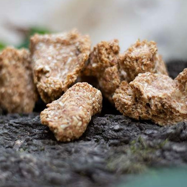 Coconut, apple and almond cookies for dogs