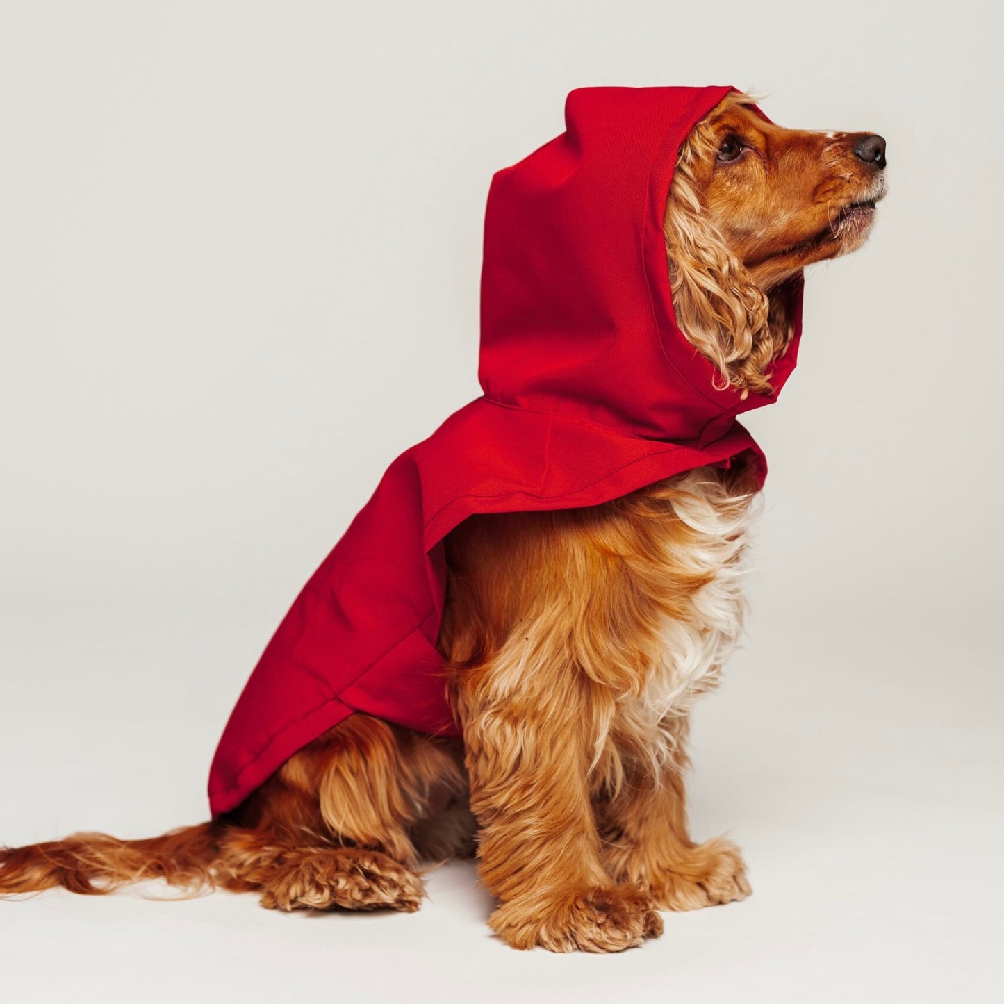 Dog raincoat red