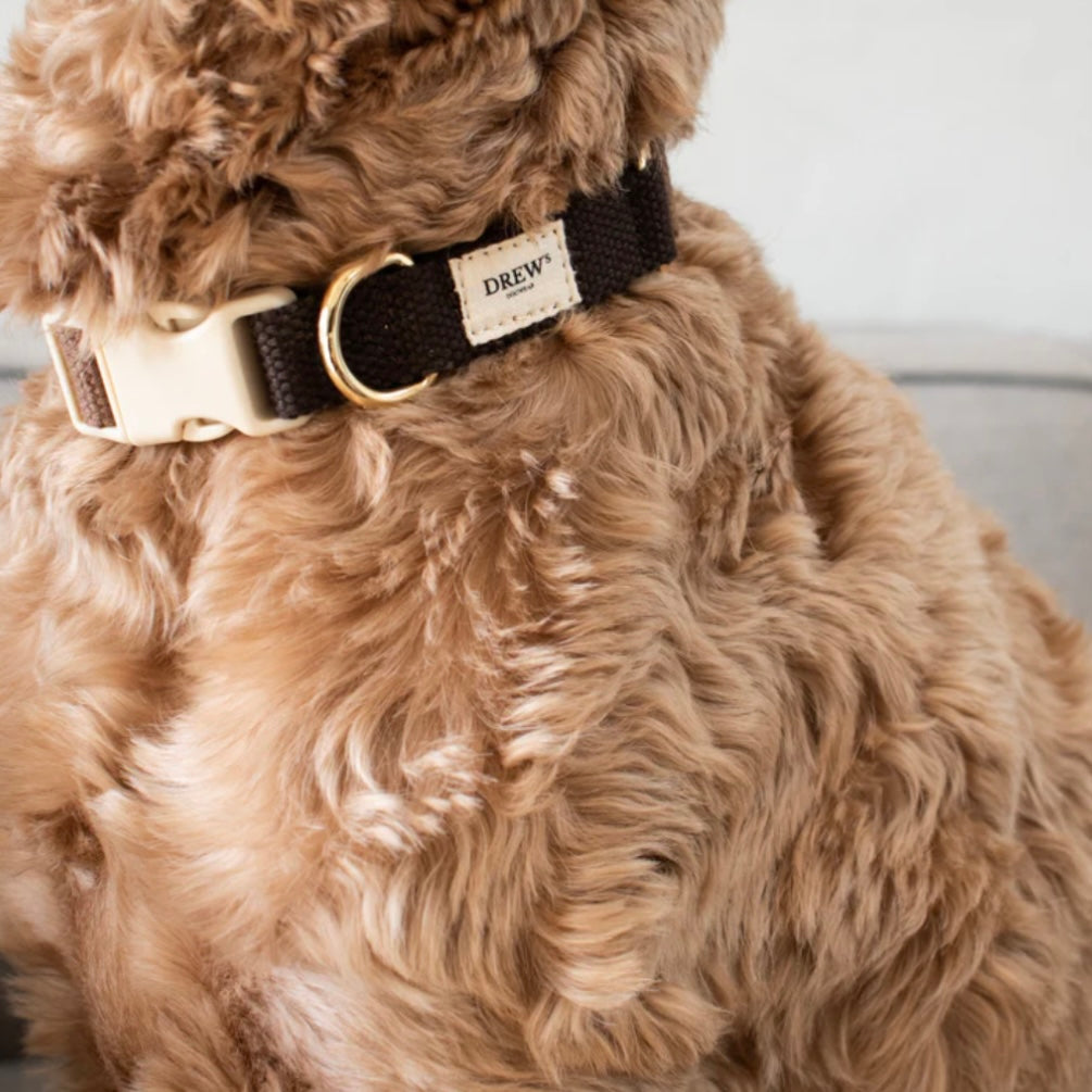 Dog Collar Chocolate