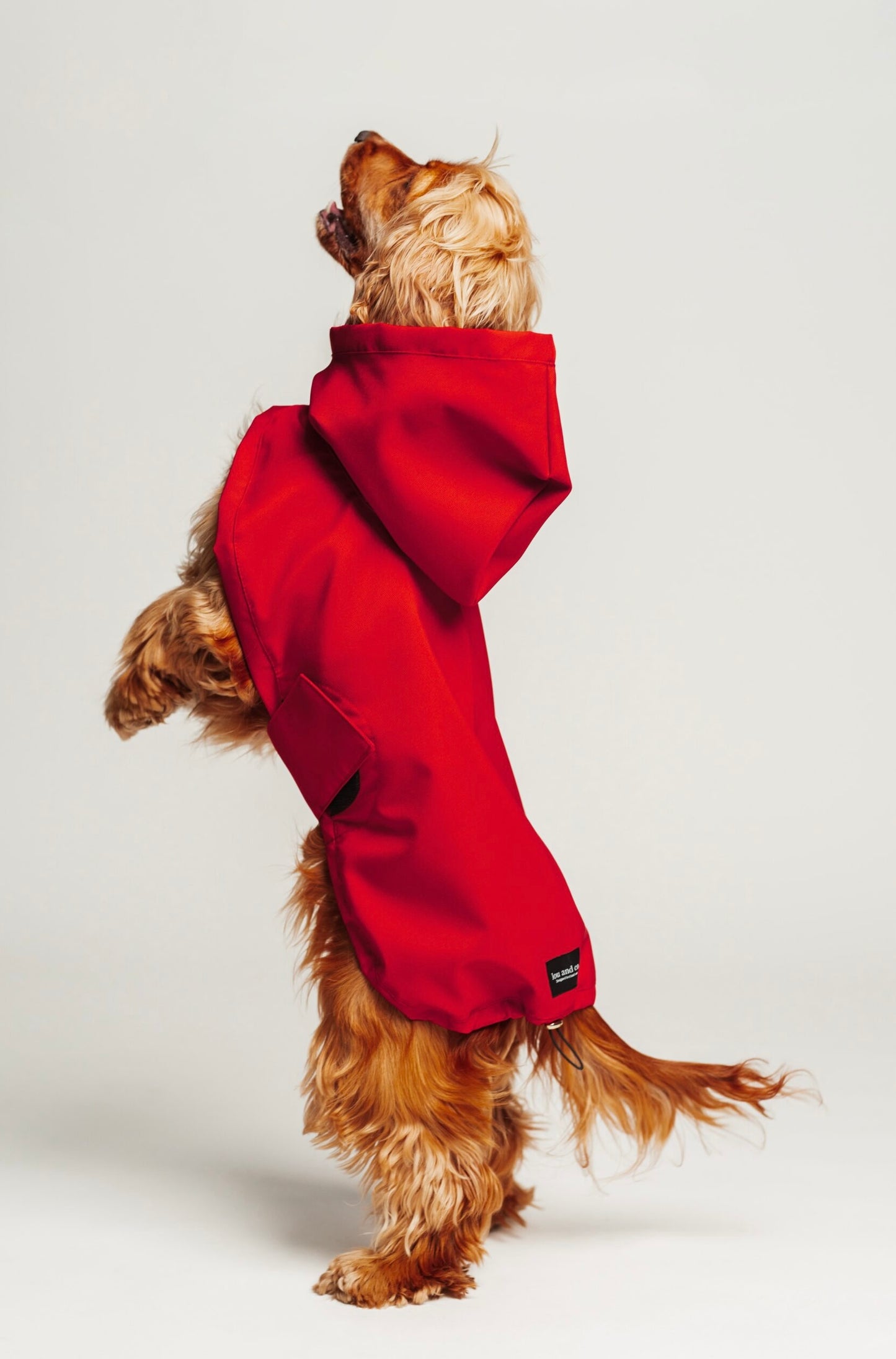 Dog raincoat red