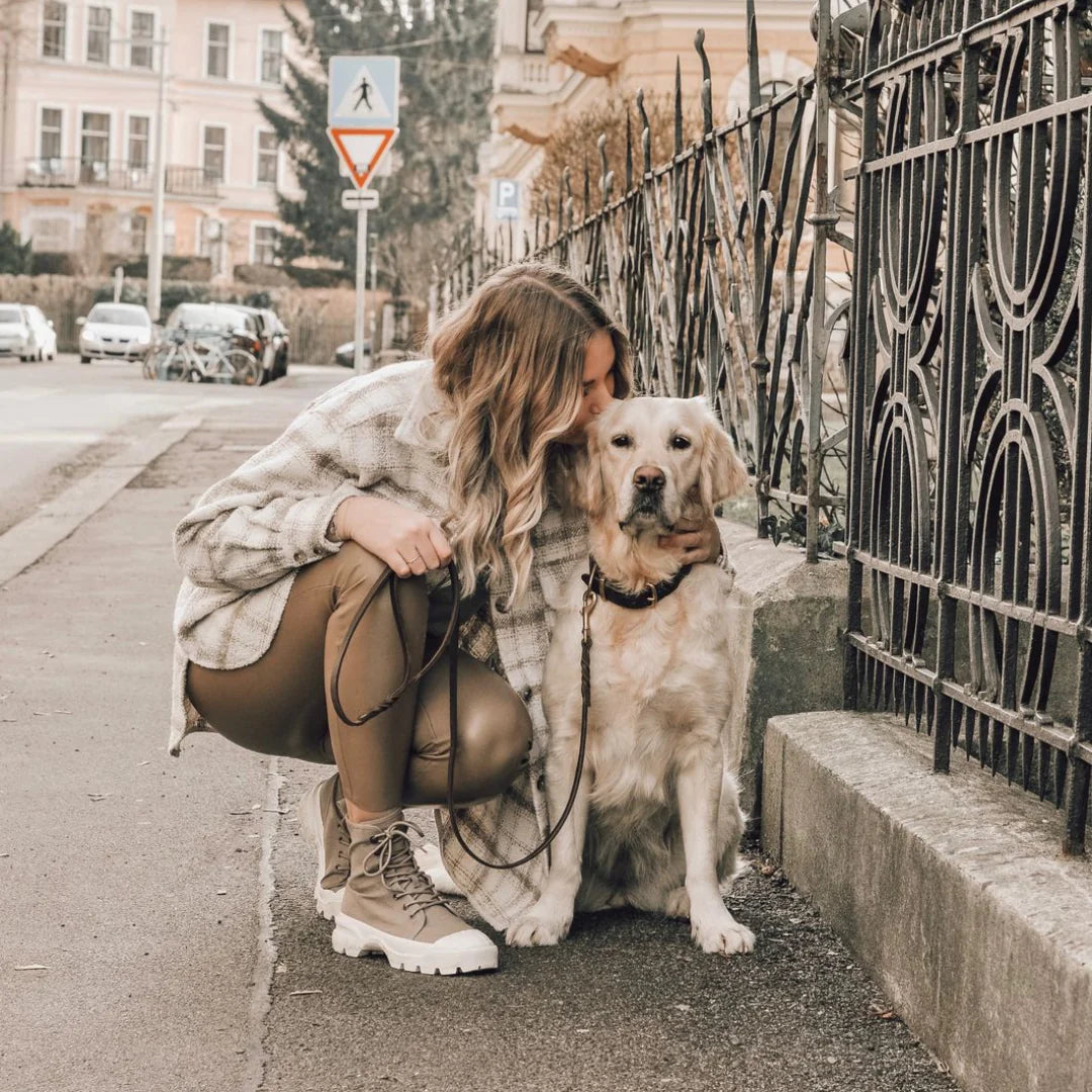 Butter leather city dog leash Classic Brown