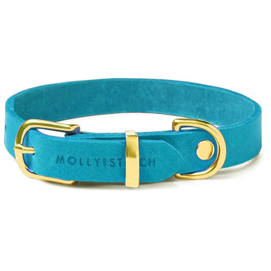 Butter leather dog collar Fiji