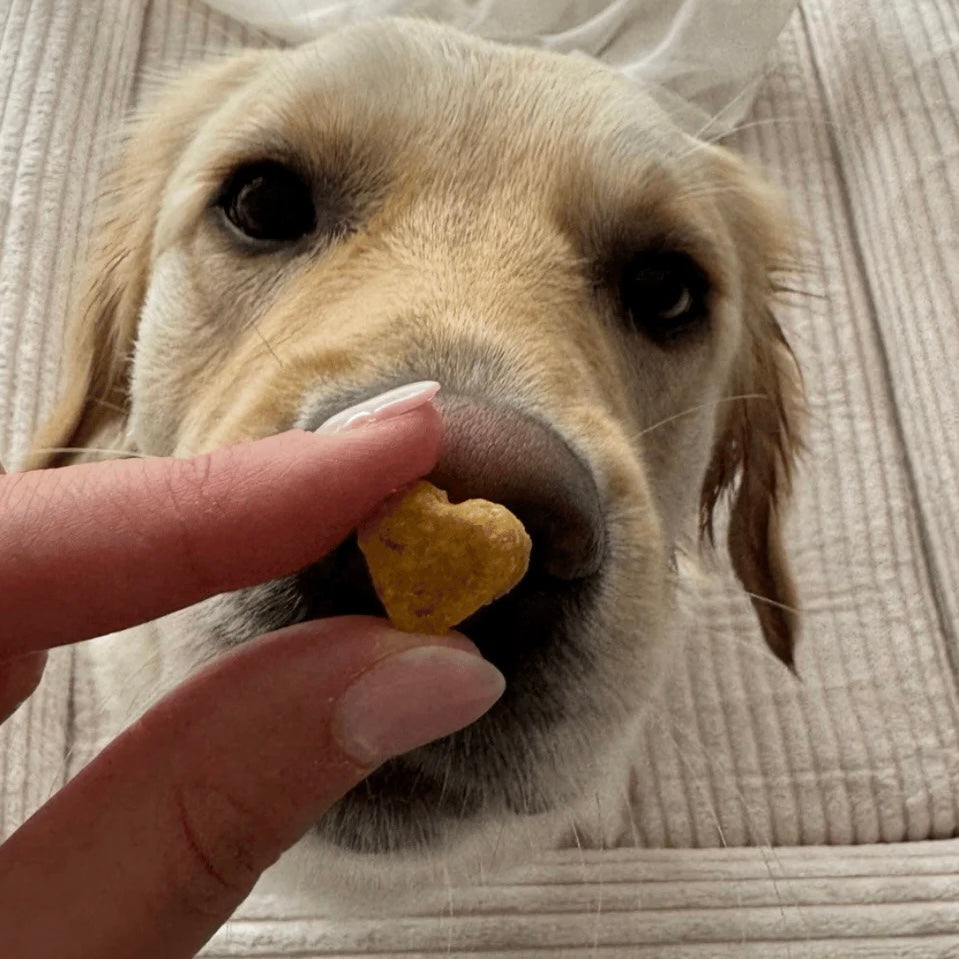 Treats Carrot cake