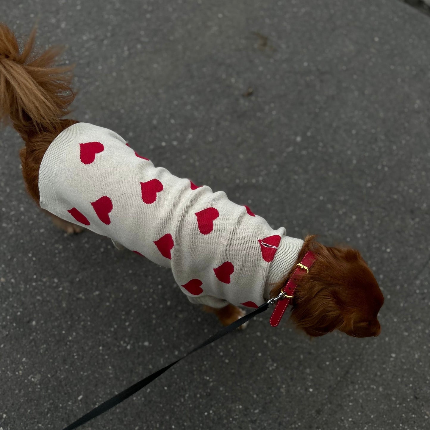 Knitted dog sweater with hearts beige