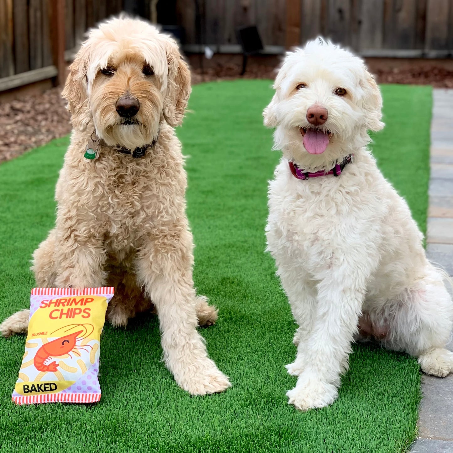 Shrimp Chips Dog Toy