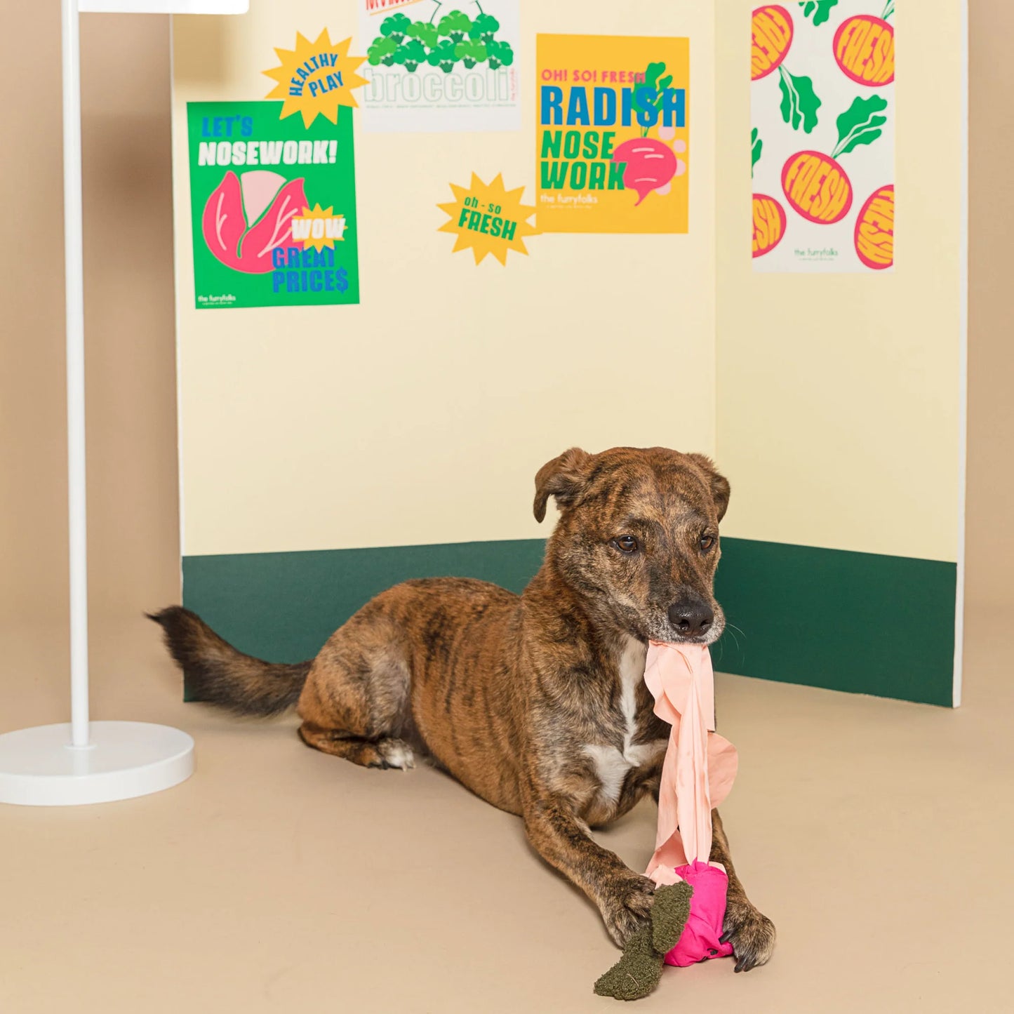 Radish Nosework Toy