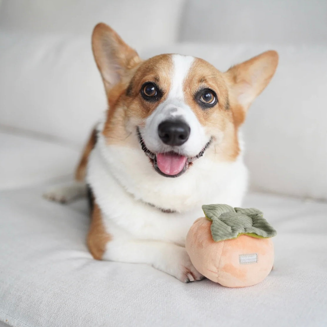 Persimmon snuffle dog toy