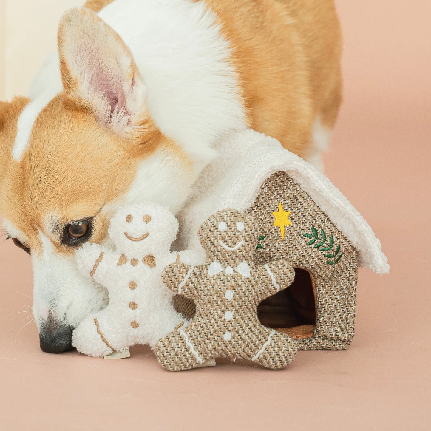 Gingerbread house enrichment dog toy