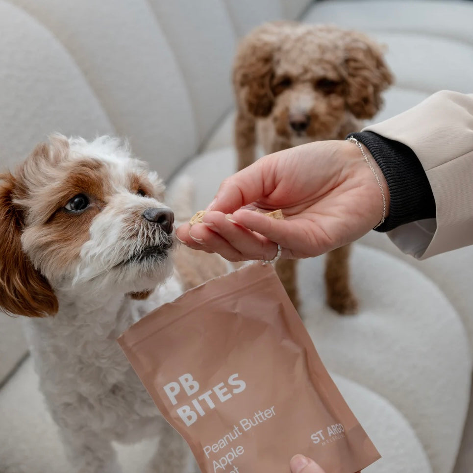 Treats Peanut Butter bites