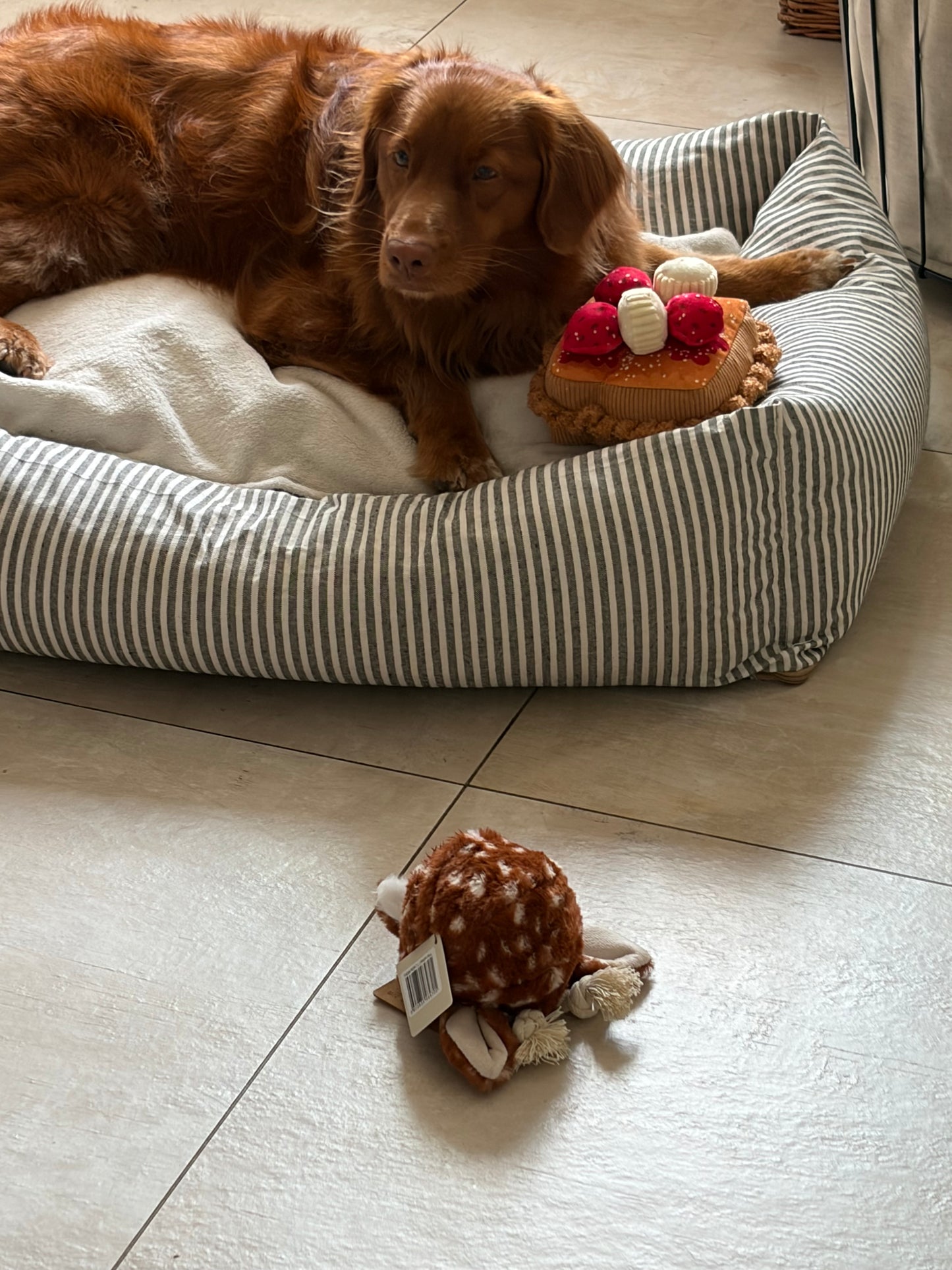 Thick 'N Fluffy French Toast Dog Toy