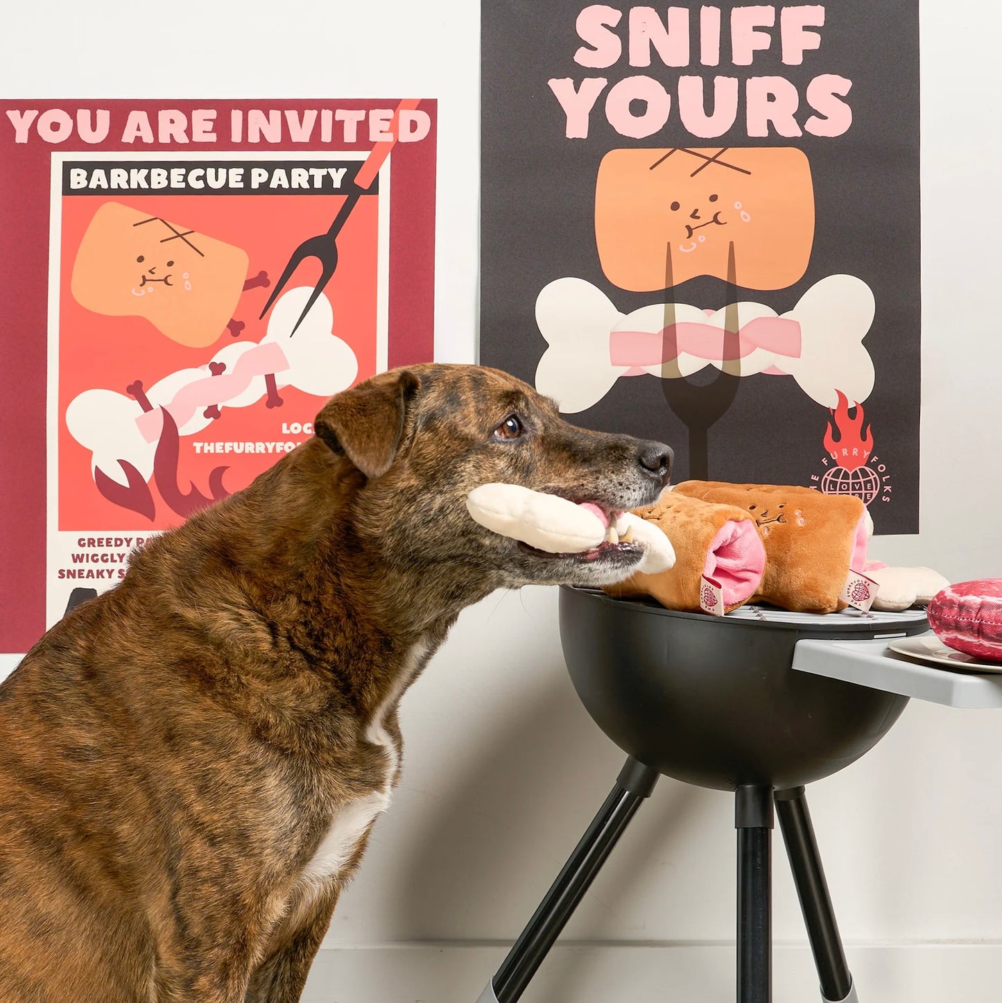 Bone Appétit Nosework Toy