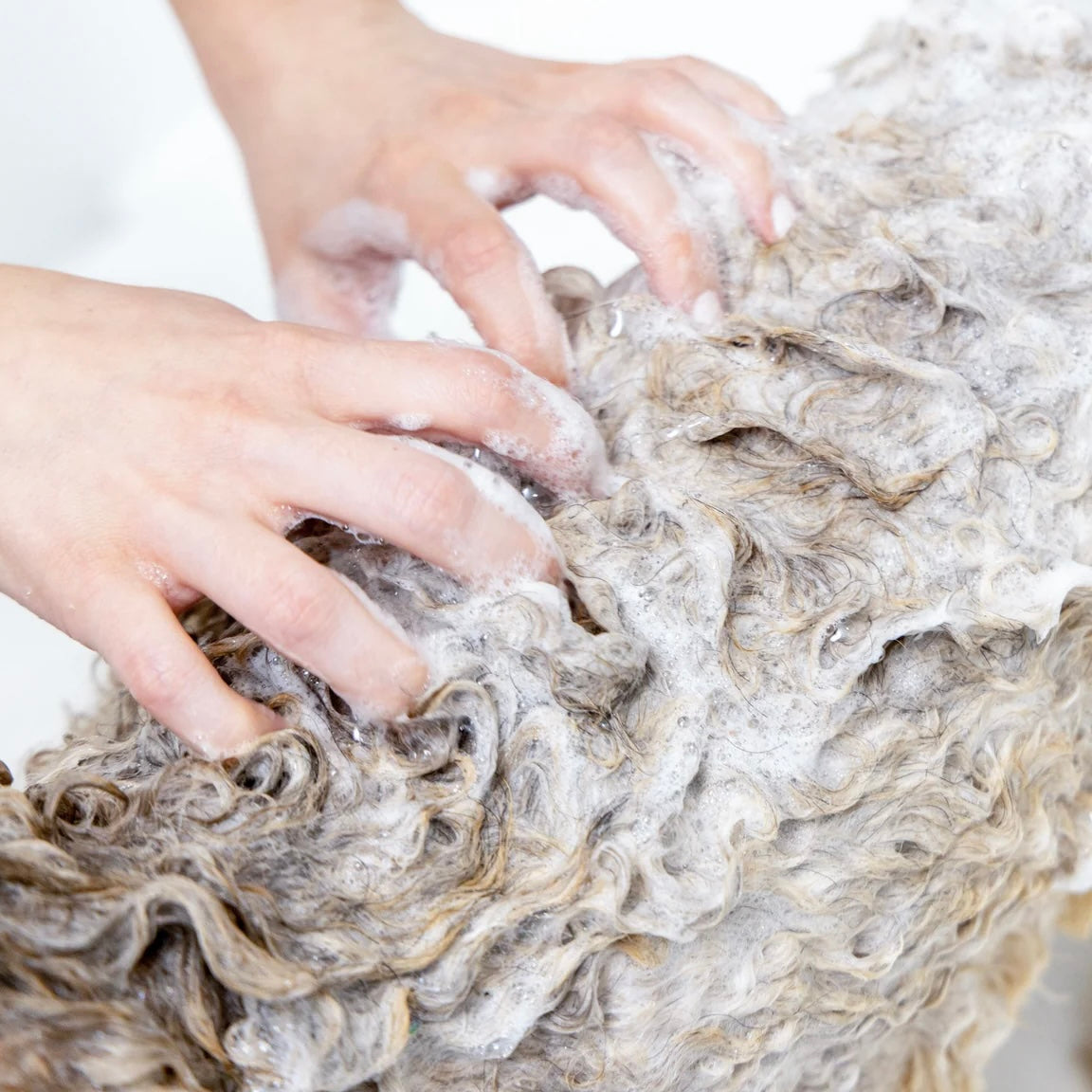 Conditioning Pet Shampoo