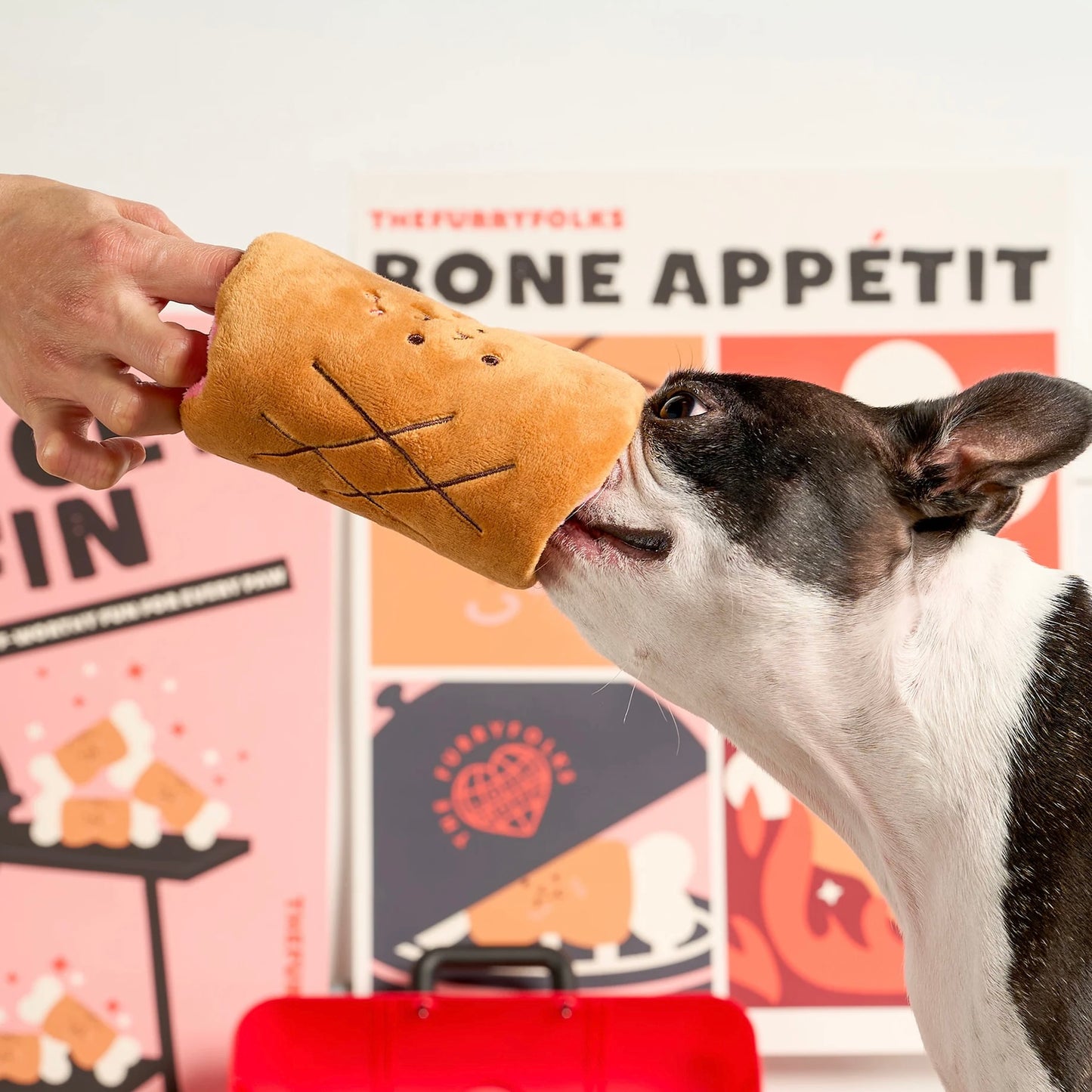 Bone Appétit Nosework Toy