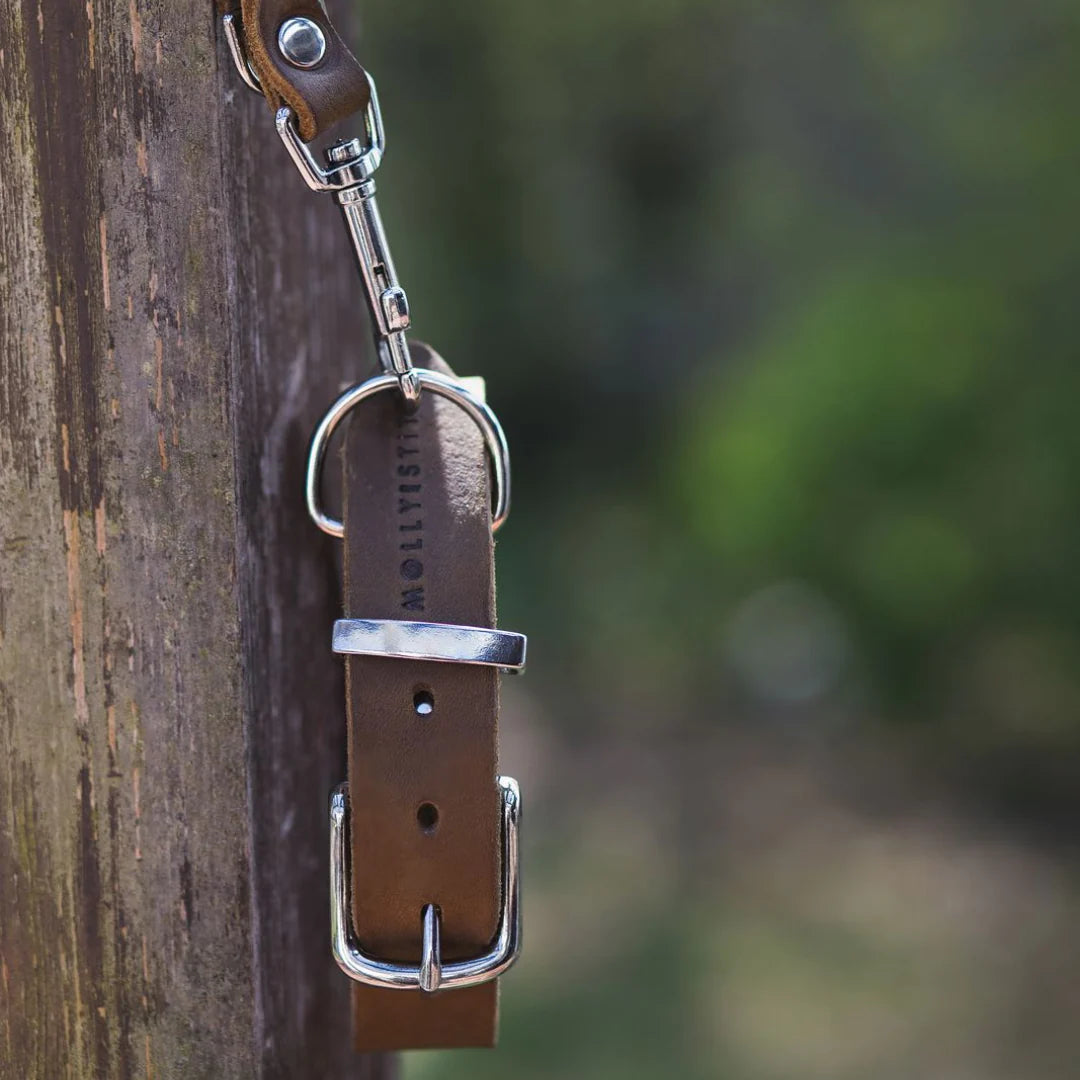 Butter leather dog collar Classic Brown