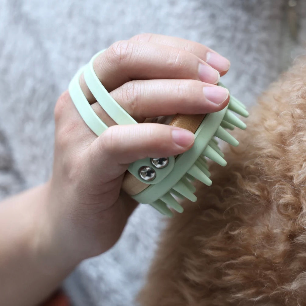 Bamboo brush for dog & cat