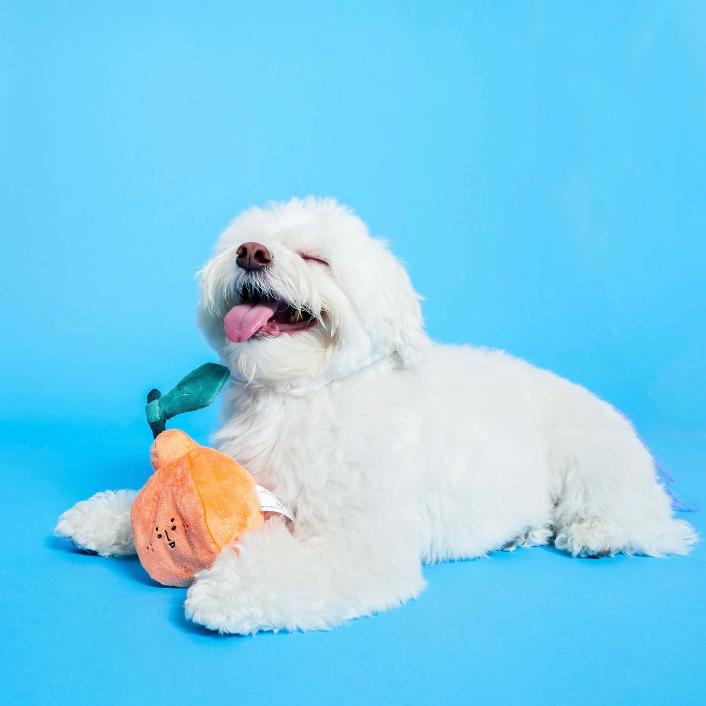 Orange Nosework Toy