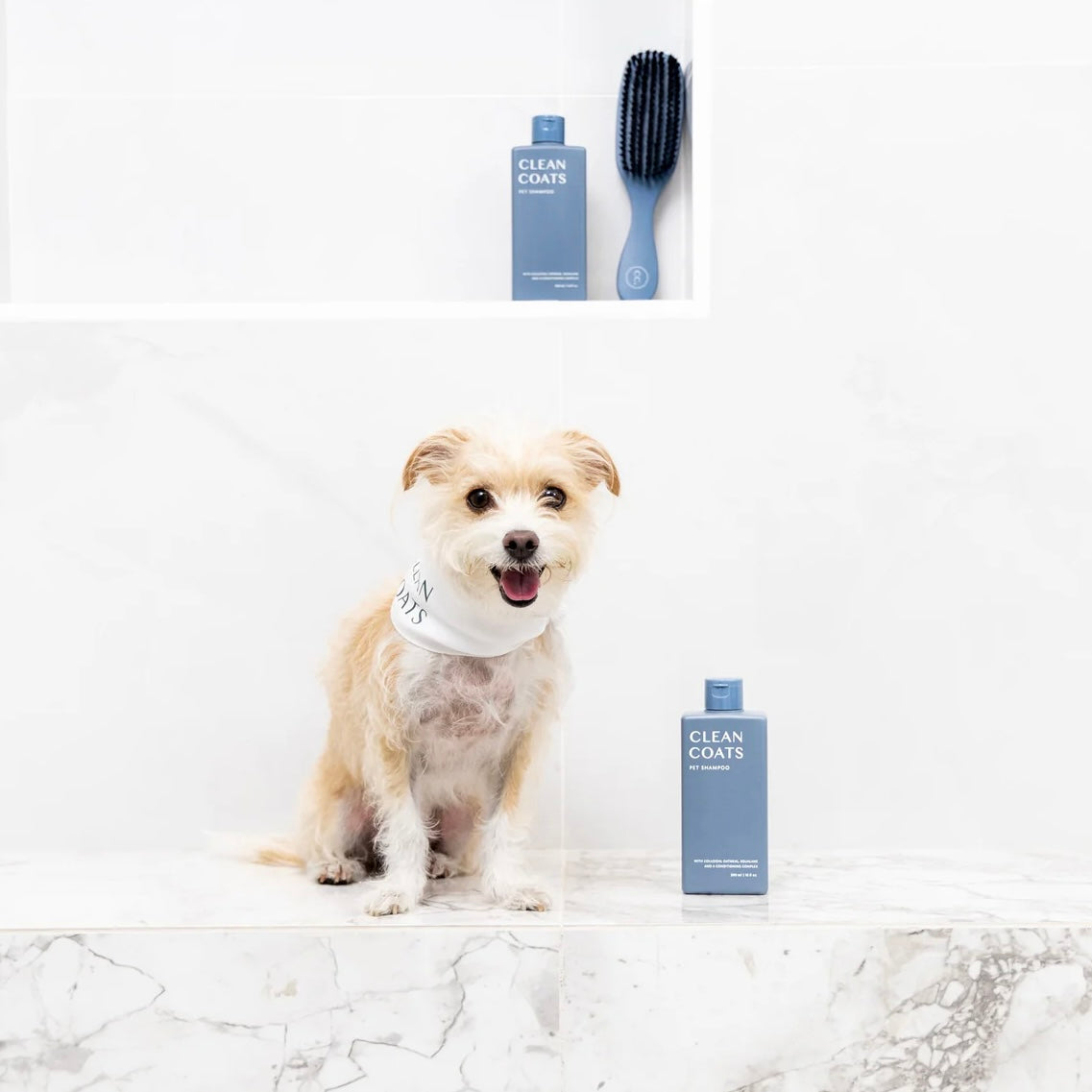 Conditioning Pet Shampoo