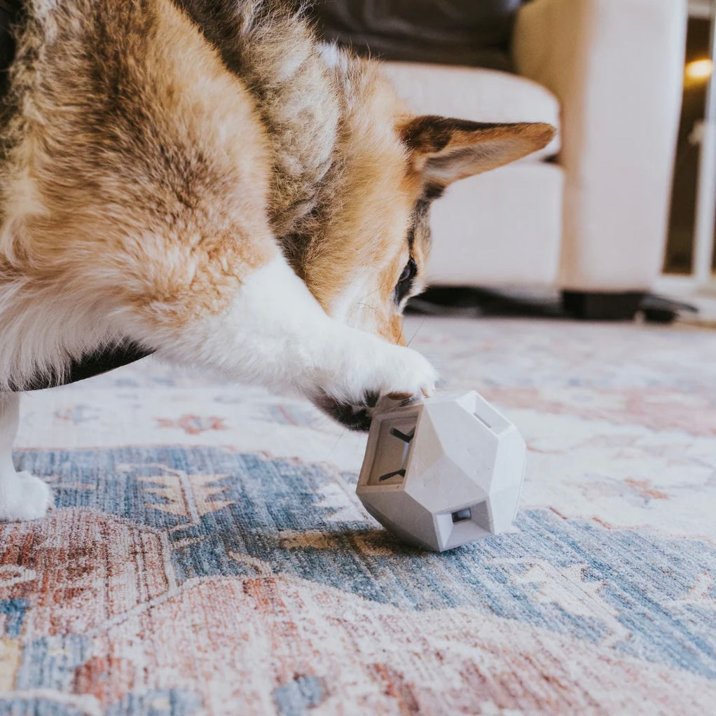 The Odin Treat Dispensing Toy Light Grey