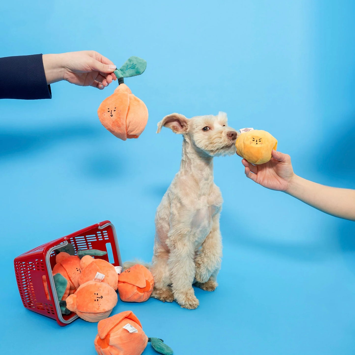 Orange Nosework Toy