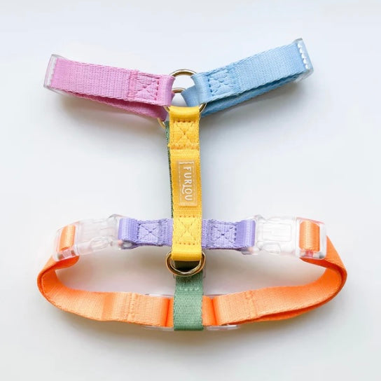 Rainbow Dog Harness