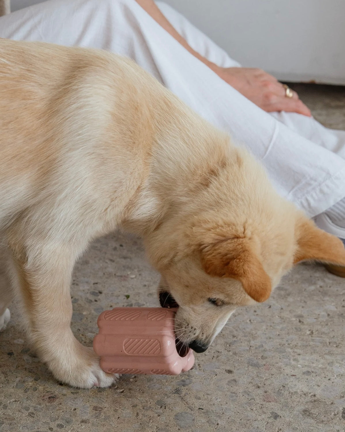 Aggressive Teething & Enrichment Toy Blush Pink