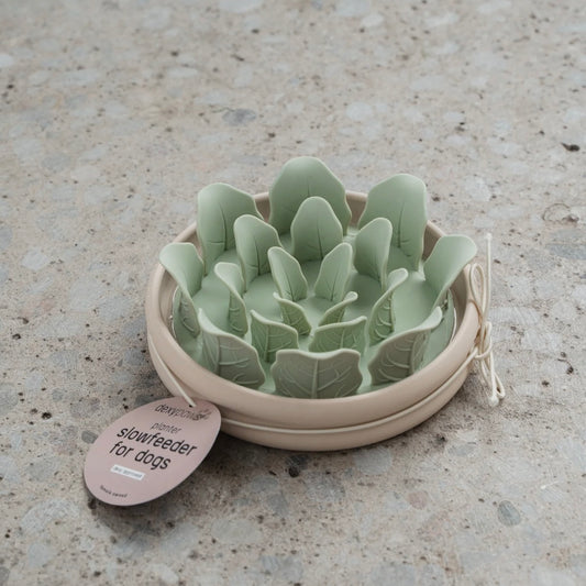 Planter Slow Feeder