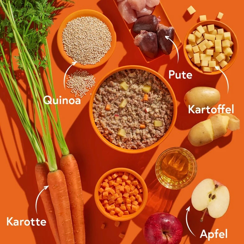 FRED Turkey with Potatoes – Highly Digestible Monoprotein Wet Dog Food