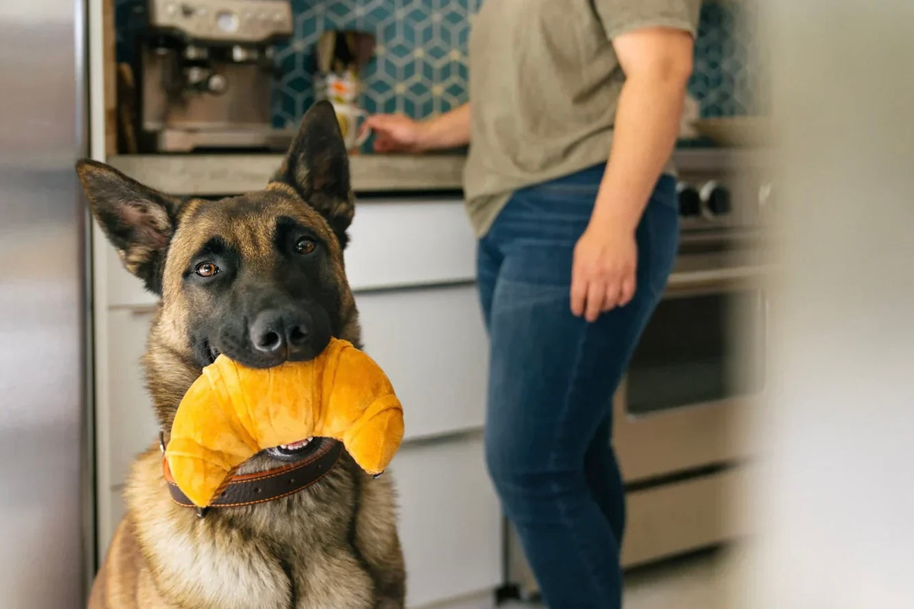 Dog Toy Croissant