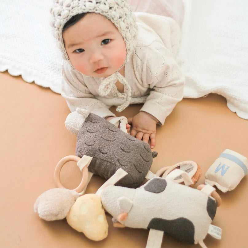 Moo Moo Kids toy