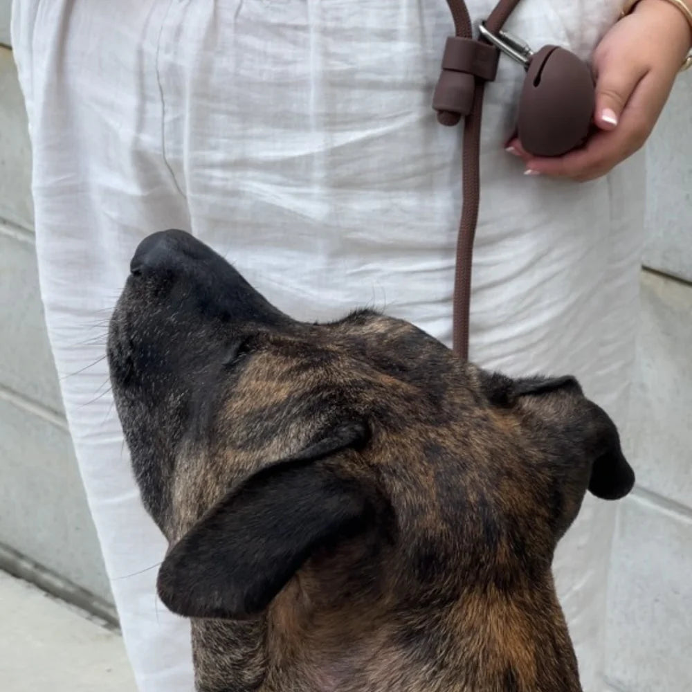 Treat Pouch brown