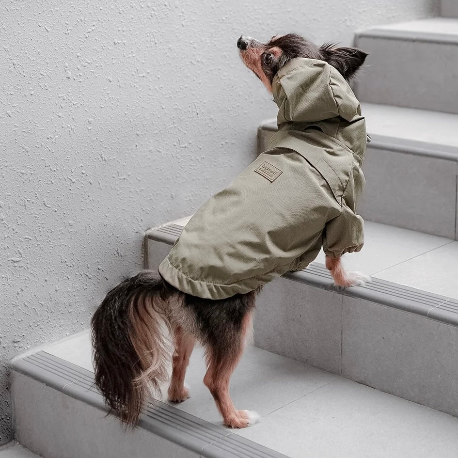 Brooklyn Dog raincoat green