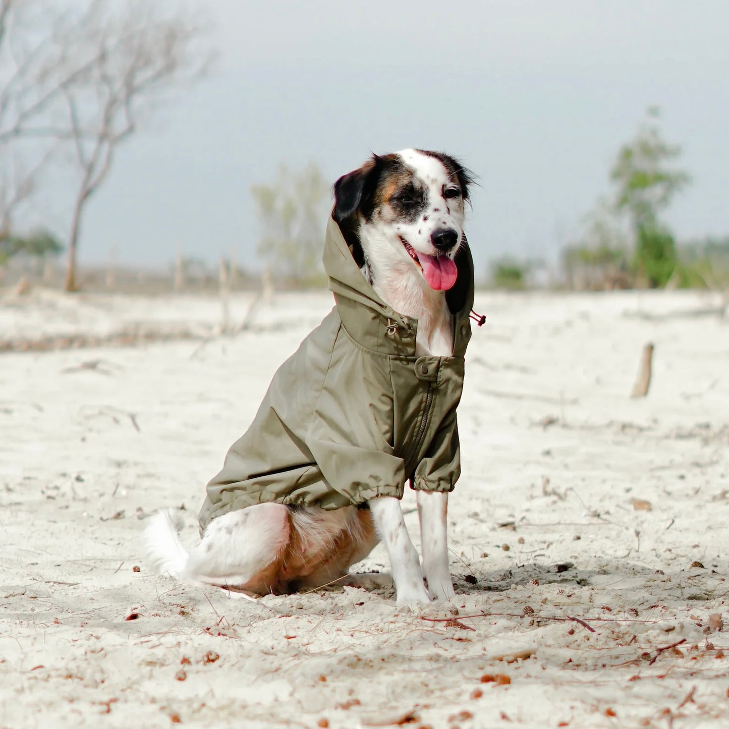 Brooklyn Dog raincoat green